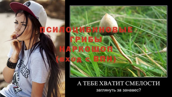 COCAINE Медногорск
