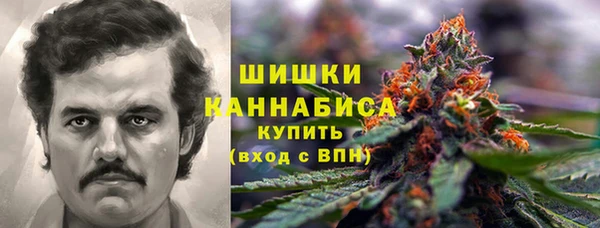 крисы Аша