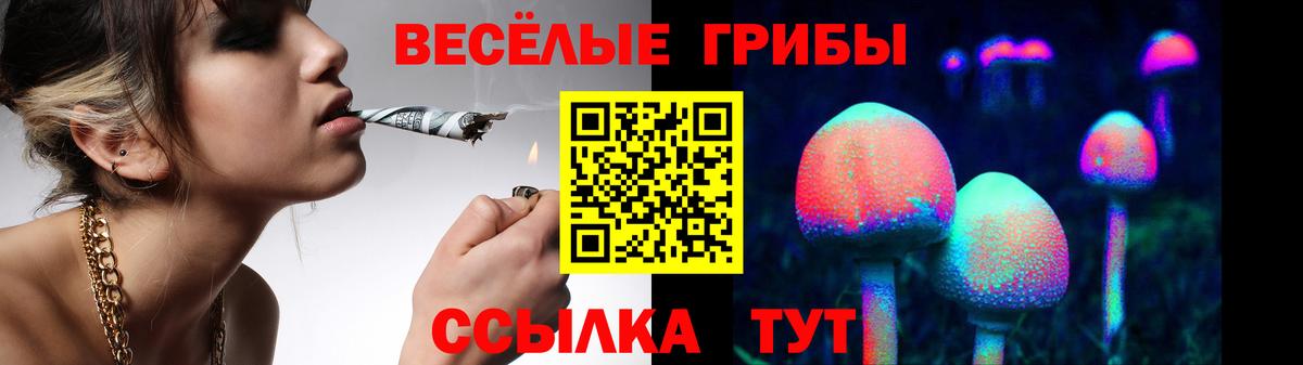 Псилоцибиновые грибы прущие грибы  Вход с VPN  Галлюциногенные грибы ЛСД  Новокузнецк 